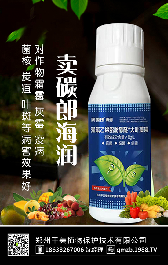 蘆筍什么季節(jié)種植?蘆筍常見(jiàn)病蟲(chóng)害及防治!