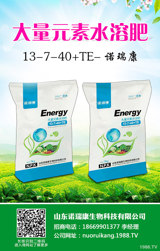 2020年大蒜價(jià)格行情怎么樣?賺錢不?種植面積會(huì)增大么?