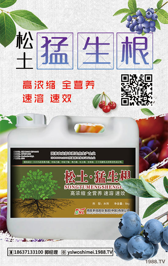 ��������Щ��Ч�����������ӵ�ʳ�ý�����