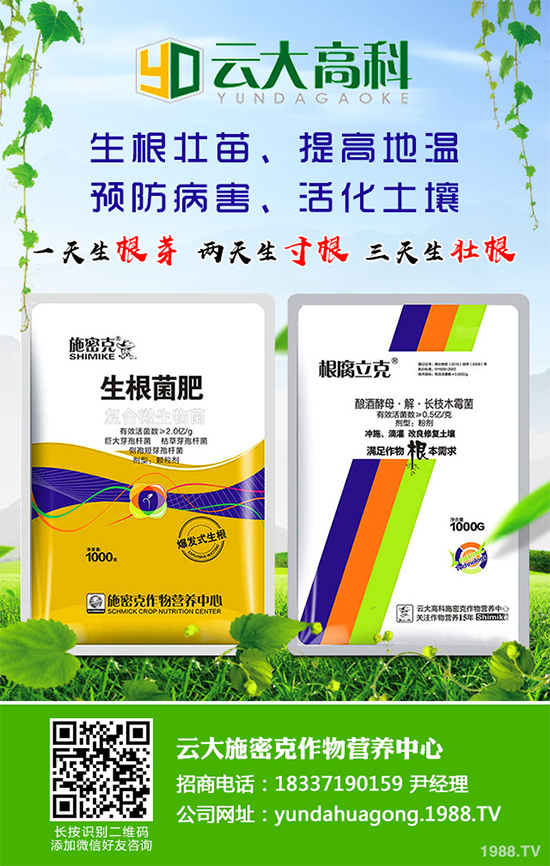 ��������ֲ��Ƥ�Ɇ᣿��Ƥ�ɶ�����ֲ����