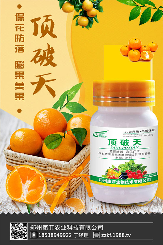 ���ٞ�ʲô���S�~�������S�~�Ľ�Q��ʩ��