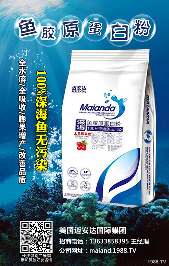     �������r������Xһ����2020����������������