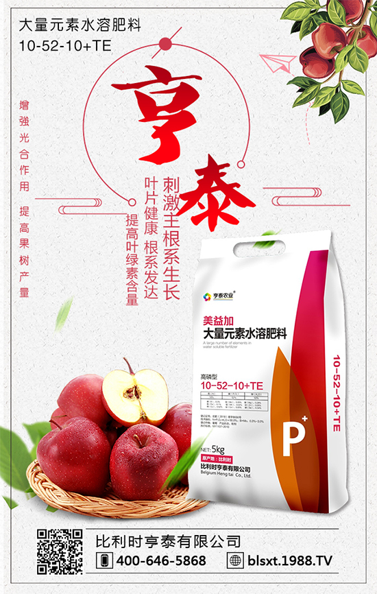 白菜多少錢(qián)一斤?2020年種植前景怎么樣?