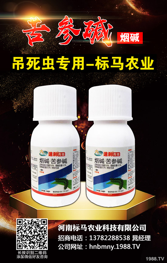 �������x��Σ���Y��l(f��)���l������������Щ���η�����