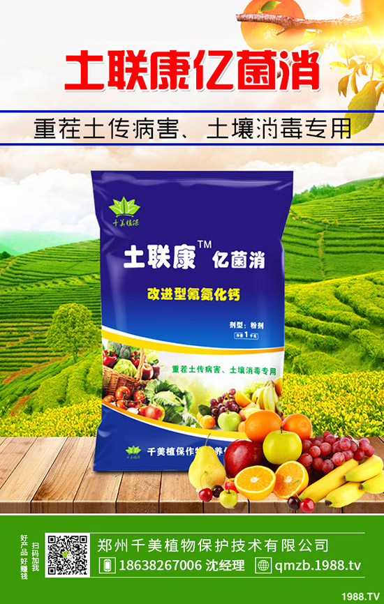     ���ص�������r������������������C�Ϸ���2019-11-4