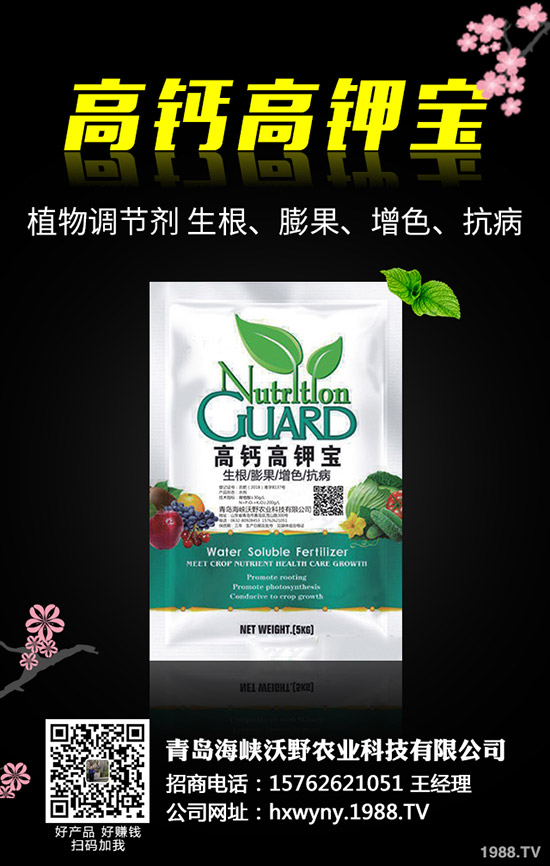 油葵種植前需要準(zhǔn)備哪些工作,油葵種植技巧有哪些?