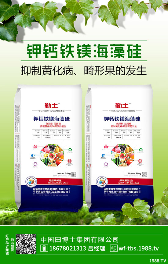     2019��11��8������⛷������߄��A�y���Ȼ�⛳��S��rһ�[