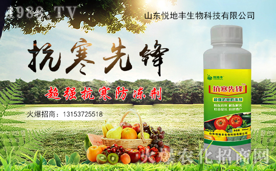 冬季果樹防凍措施你做了嗎?露地果樹防凍措施!