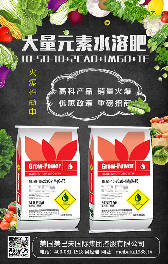 2020年種植什么蔬菜掙錢嗎?2020年種植什么蔬菜前景好?