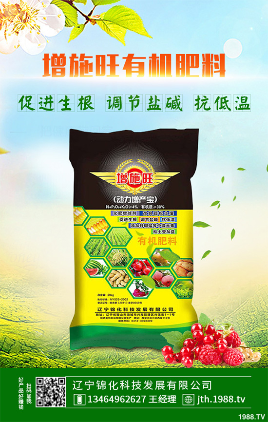 蔓荊子多少錢一斤?2020年蔓荊子種植前景及效益分析