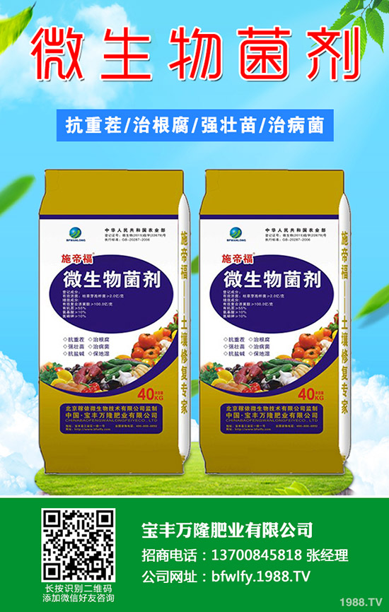 草莓摘葉什么時間好?有哪些方法?