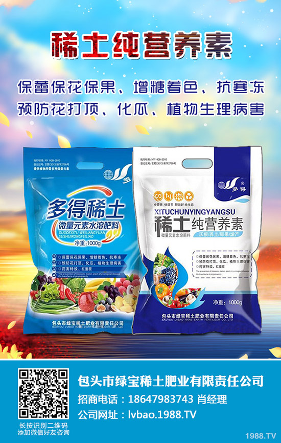 白蠟樹的種植技術(shù)有哪些?白蠟的日常養(yǎng)護(hù)管理!