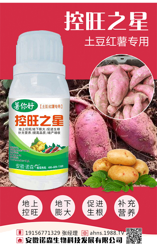 �t������r(sh��)�g �t�����緽��