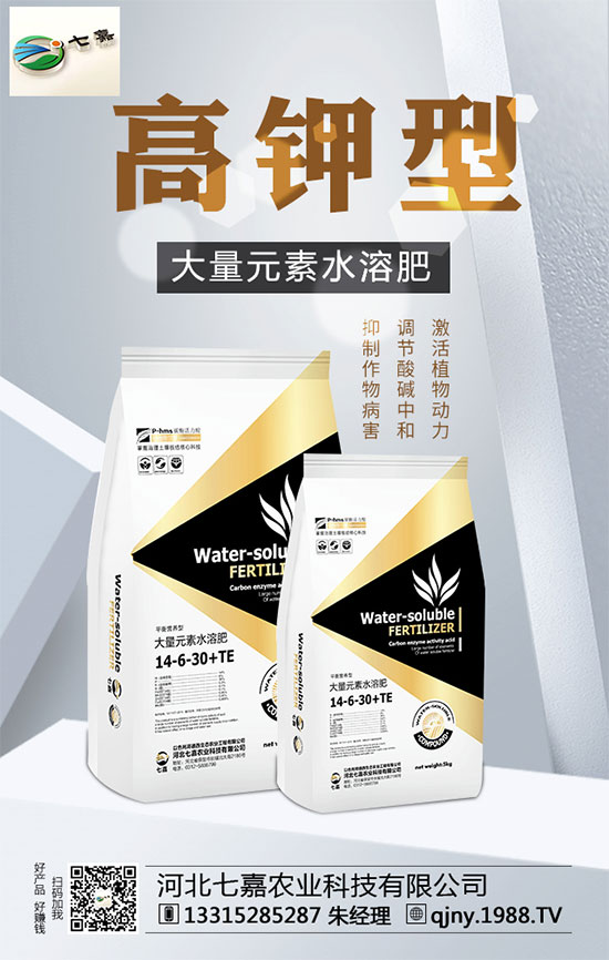 山藥價(jià)格多少錢一斤?2020年山藥種植前景分析!