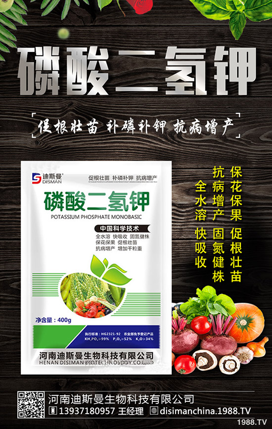 醋栗怎么種植,醋栗種植方法及日常管理技巧!