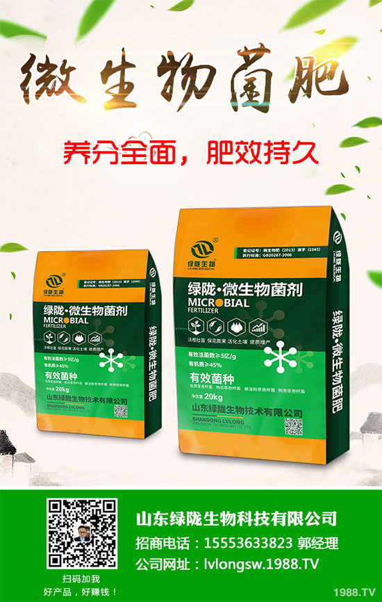 荊芥該如何種植？荊芥的種植環(huán)境要求