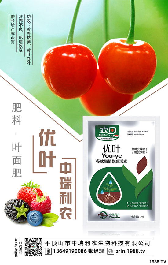 ��乽�����༼�g(sh��)����乽�ķNֲע�������