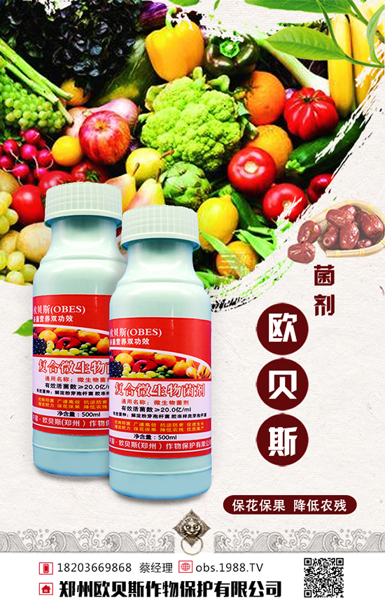 ���ݚWؐ˹���ﱣ�o(h��)���޹�˾