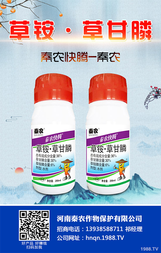 Prentiss������������(ch��ng)�s�ݳ��݄�Camp-D ��2��4-D�Ͱ��������