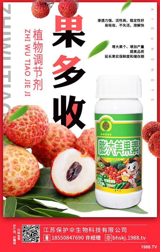 大蒜更新價(jià)格多少錢一斤？2020年大蒜種植前景如何？