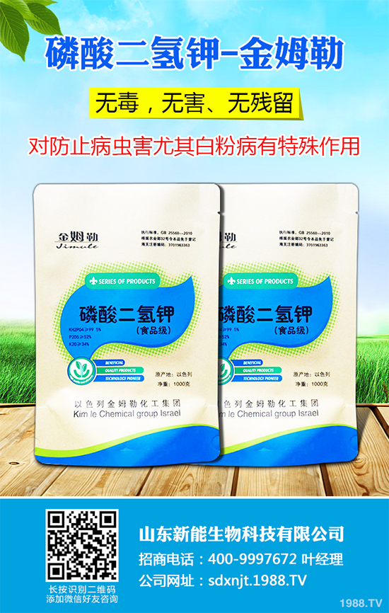 ħ��r������Xһ����2020��ħ��Nֲ���Ј�����