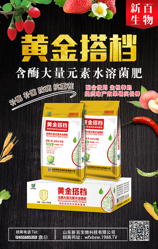 ���׹��l(xi��ng) ����Ʒ�N