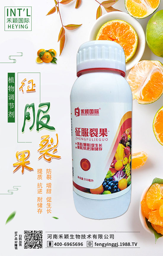 ľ����ʲô�r�g�Nֲ��ľ���˷Nֲ������