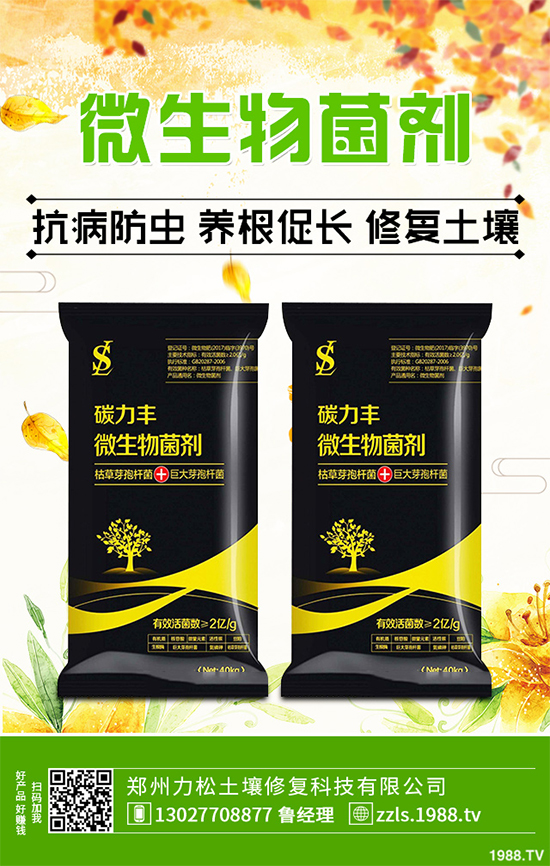 �Nֲʲôˎ����ٍ�X��2020����ˎ�ķNֲǰ������