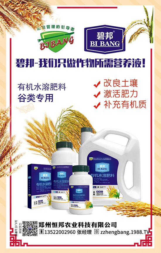 ����������Щ��̎������Ĺ�Ч���ü�ʳ�ý���