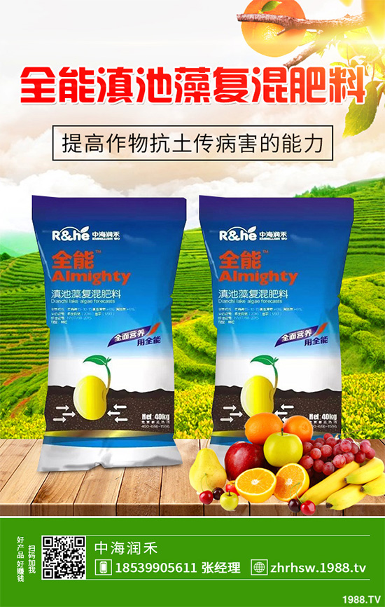 ���r����͸���������Щ�^(q��)�e���ǂ�(g��)Ч��������