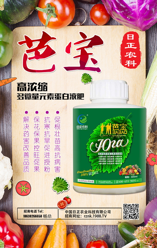 �S���Nֲǰ�� �S���Nֲ����