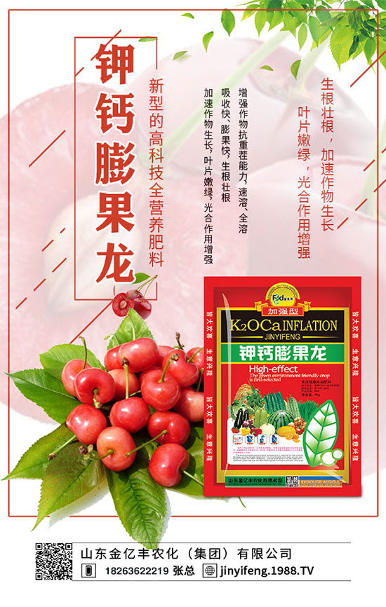 荔枝什么時間種植?荔枝怎么種植?