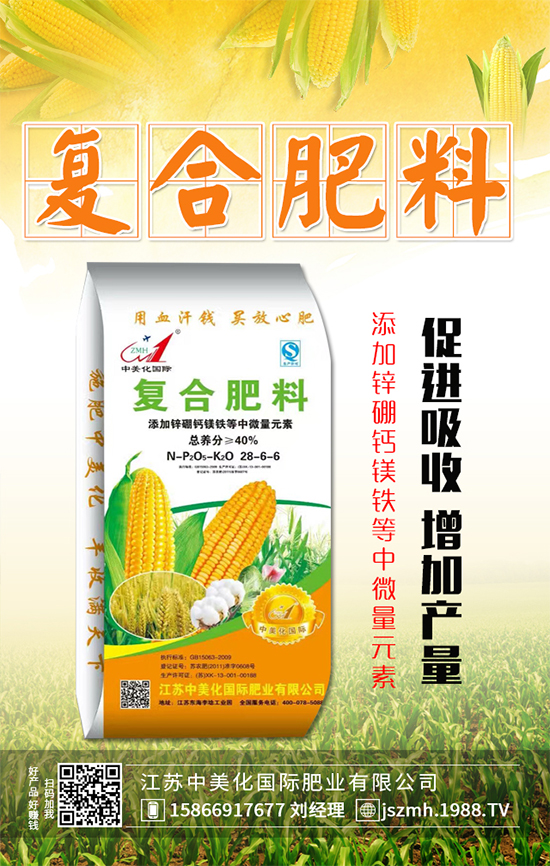 2019��12��31�ս�������(f��)�Ϸʃr(ji��)������ӑB(t��i)���(b��o)��