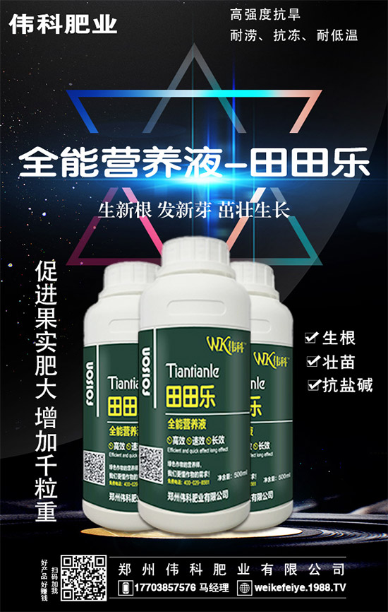     ���ӵĠI(y��ng)�B(y��ng)�r(ji��)ֵ����Щ����Ч�c��������Щ��������Щ��Ⱥʳ����