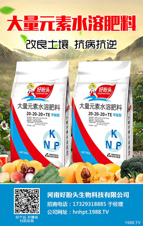 ������֪���Ľ�ɏ���p���ų����w11�N���أ�