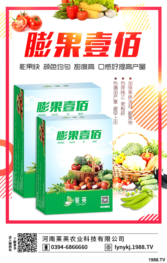 麥茬小辣椒種植技術 麥茬小辣椒種植方法