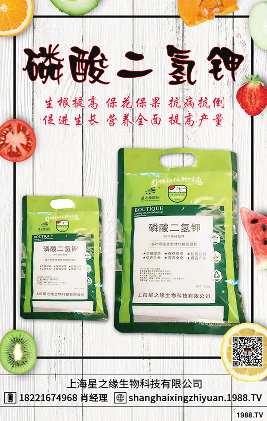 盆栽蔬菜有哪些品種?盆栽蔬菜的種植條件和注意事項(xiàng)