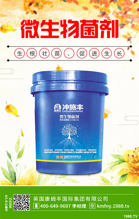 我國南方該怎樣種植藍莓?藍莓高產(chǎn)種植技術(shù)要點