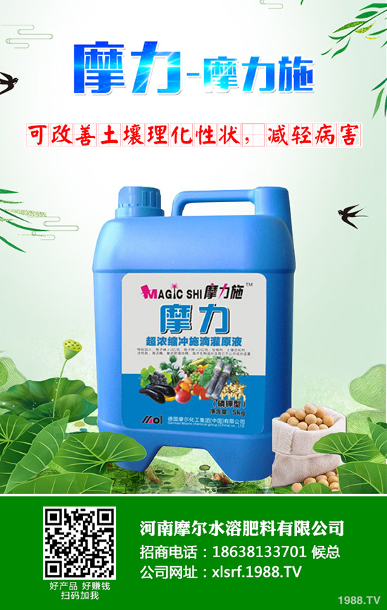 �����ʲô���Ϻã����ʩ�ʼ��g(sh��)����Щ��