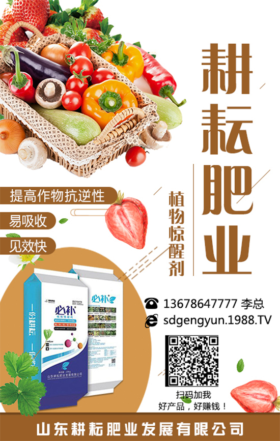 ���؃r����m(x��)�»������վֲ��^(q��)�������Ј�����2019��8��13��