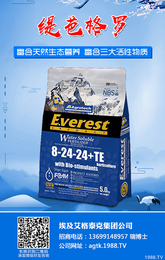 茄子什么時(shí)間育苗?茄子育苗方法