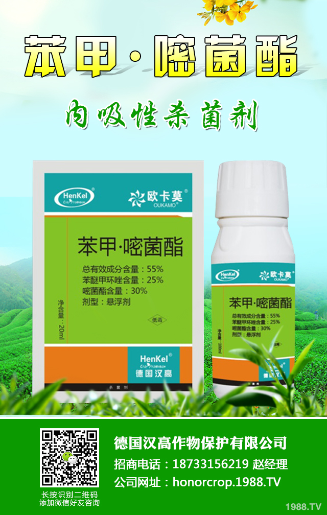 ���^���x����ô�k�����^���x�����κ÷���