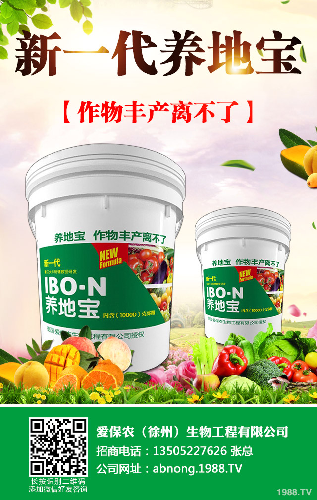 油菜葉紅苗缺什么?油菜紅苗的因素及防治