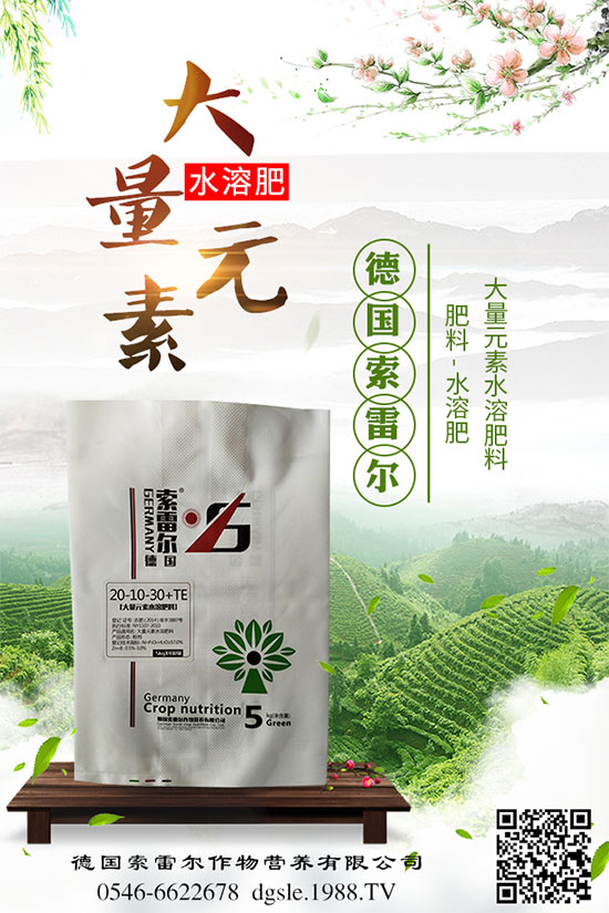 青棗的功效與作用,吃青棗有什么好處?