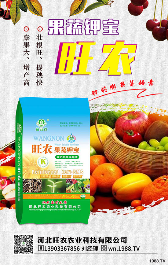 ��������ķNֲ�r(sh��)�g������������������Ҫ�c(di��n)����Щ��