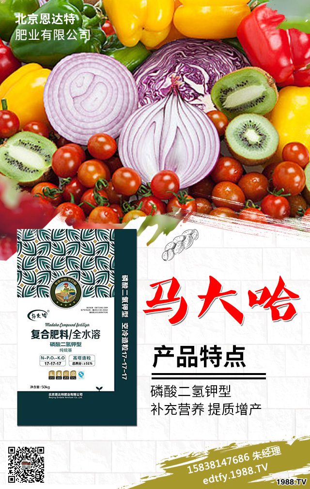 �����߲�ʩ���д�����Щ���}�������߲˷Nֲ���g(sh��)