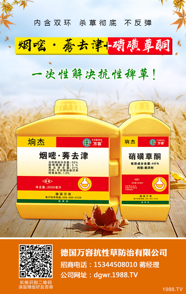 小麥除草劑怎么施用？小麥除草劑施用方法