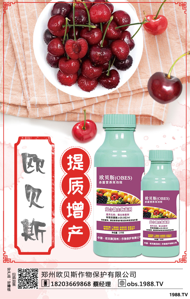 西洋梨如何種植?西洋梨樹(shù)栽培技術(shù)