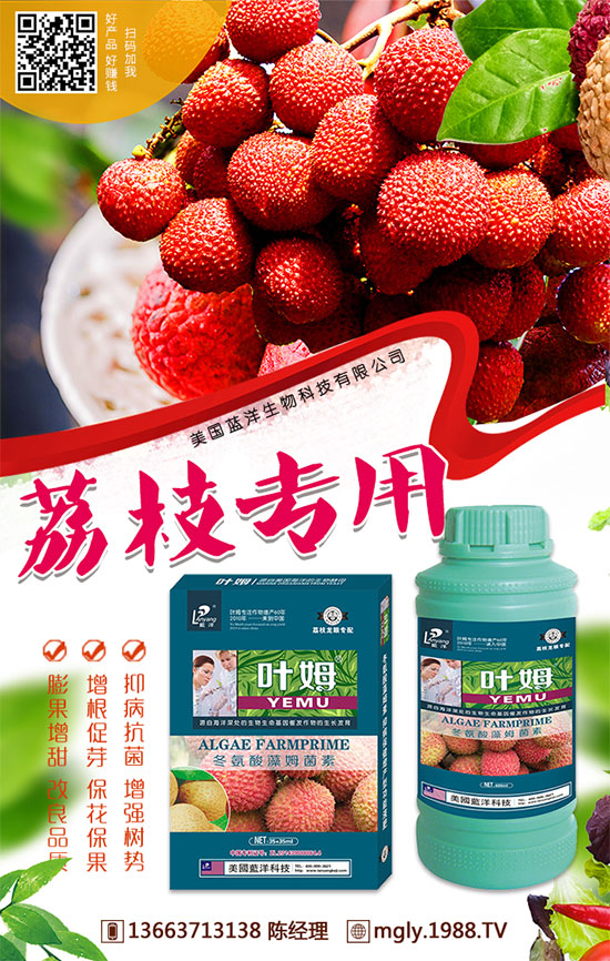 2019��8��29�ս����������@�r���Ո���S��r