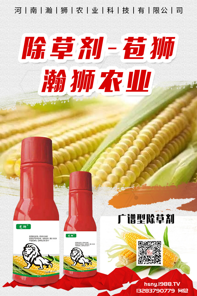 �������x����N���ò������������x����N����B